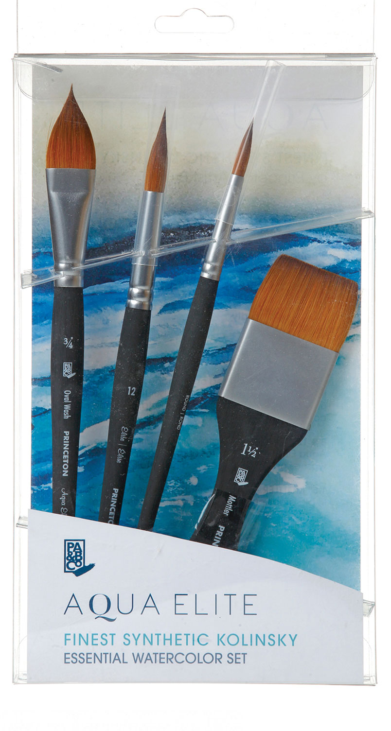 Aqua Elite Professional Box Set - Princeton Brush Company